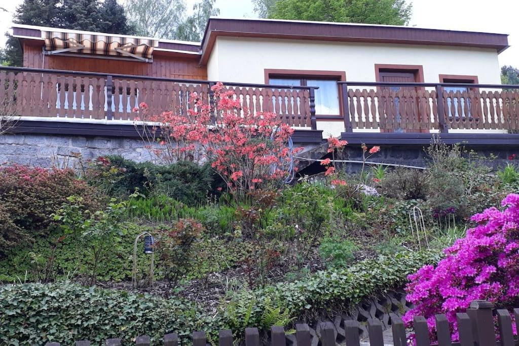 Bungalow Bluehende Oase Sebnitz Exteriér fotografie
