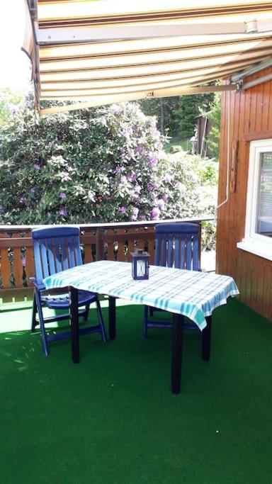 Bungalow Bluehende Oase Sebnitz Exteriér fotografie